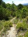 Agrandir l'image Col de Castel (CCC) - FR-11-0335b