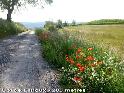 Agrandir l'image Col de Limoux - FR-11-0280a