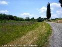 Agrandir l'image Col de Soult - FR-11-0245d