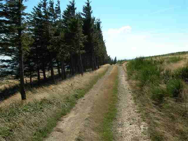Chemin vers CV