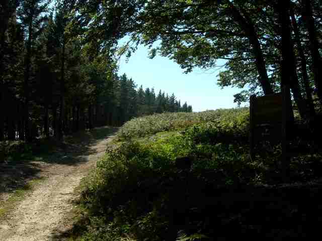 Fin de la route forestière des chômeurs