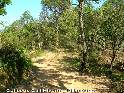 Agrandir l'image Collet de Ca l'Hivern - ES-GI-0109