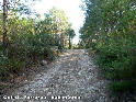 Coll de Ferreros (ICC) - 595 mètres