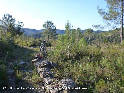 Coll de la Creu d'Ocells ou de Bocells - ES-GI-0285