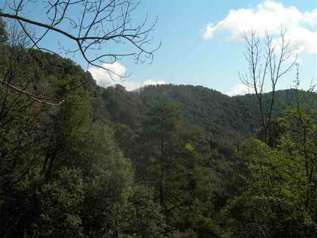 Agrandir l'image Panorama Garrotxa