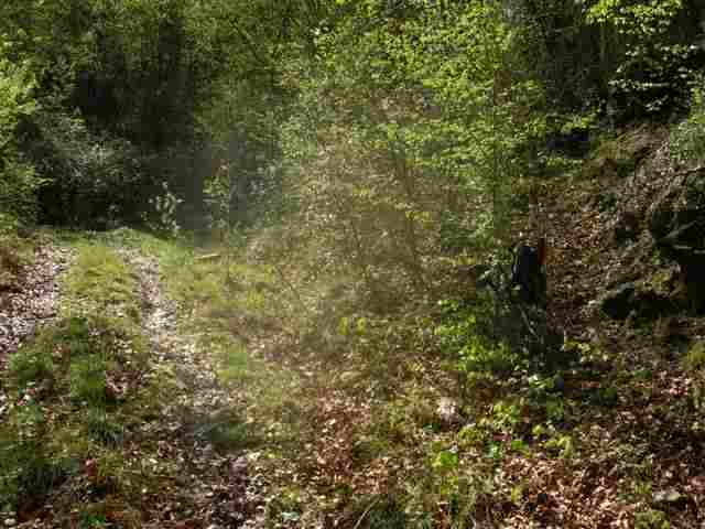 Agrandir l'image Essai sentier vers Coll de Migjorn