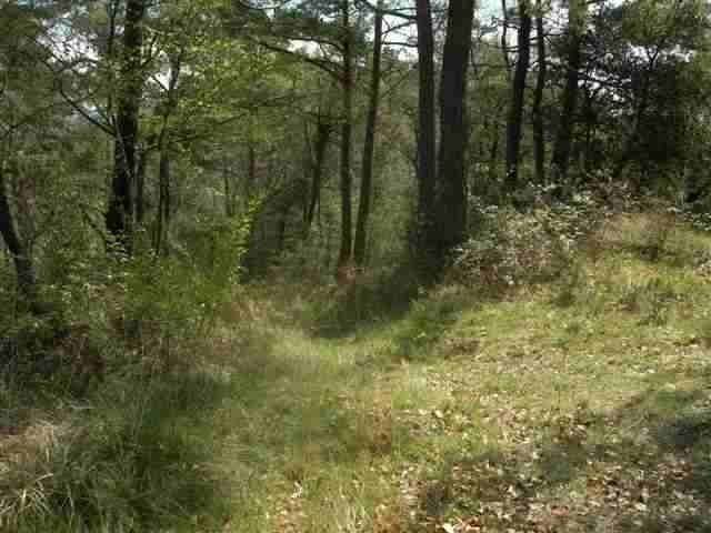 Agrandir l'image Sentier vers Portella del Coll