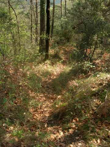 Agrandir l'image Sentier vers la Portella del Coll