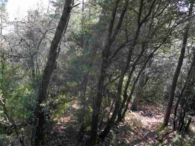 Agrandir l'image Vers Portella del Coll
