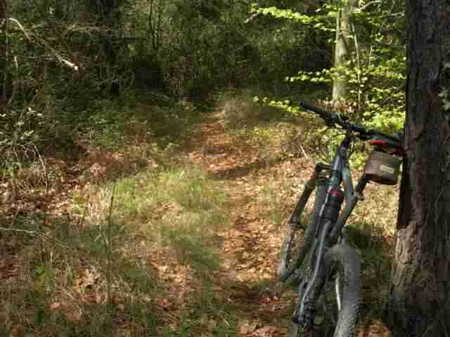 Agrandir l'image VTT vers Coll Migjorn