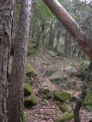 Agrandir l'image Sentier impraticable en VTT