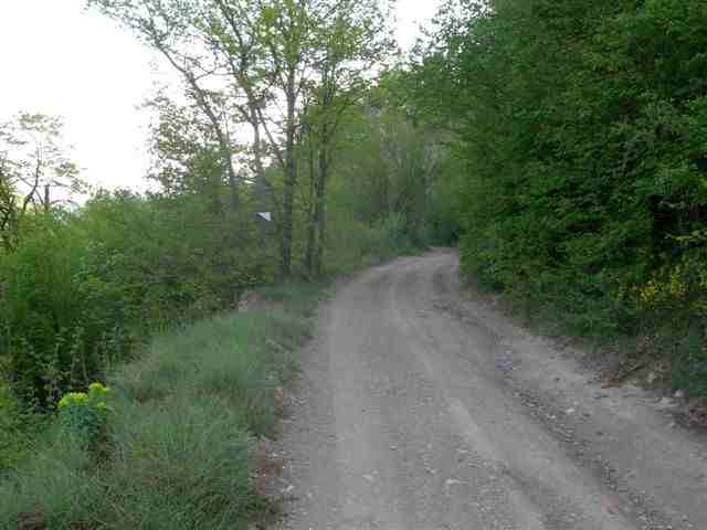 Agrandir l'image Chemin vers le Pont de la Rovira