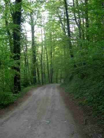 Agrandir l'image Chemin de Can Peric