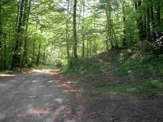 Agrandir l'image Chemin de Can peric et de Remei