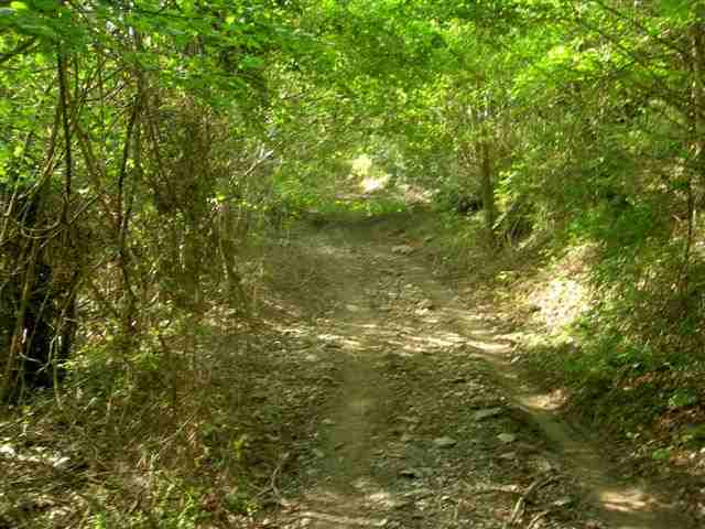 Agrandir l'image Chemin de la Collada del Faig