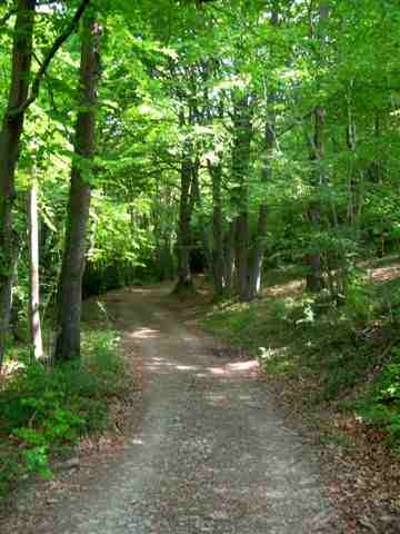 Agrandir l'image Chemin du Coll d'Alec