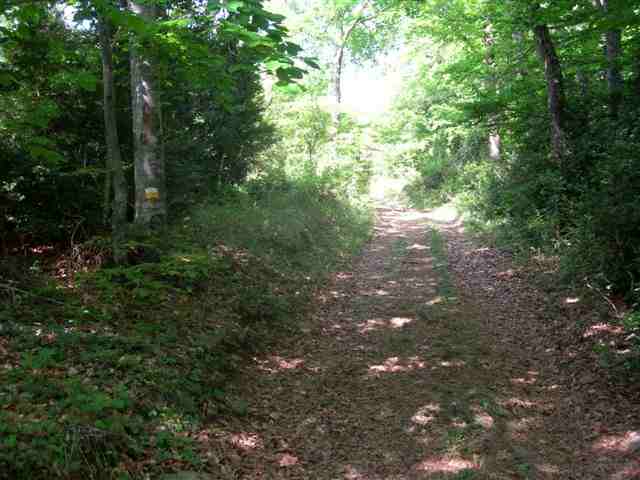 Agrandir l'image Chemin de la Collada del Remei