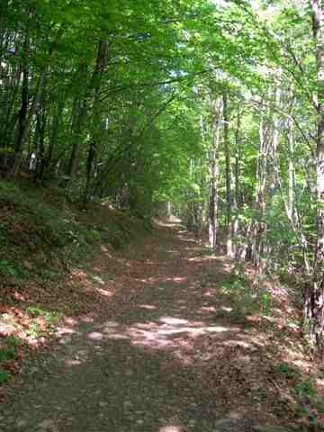 Agrandir l'image En vtt vers la Collada del Remei