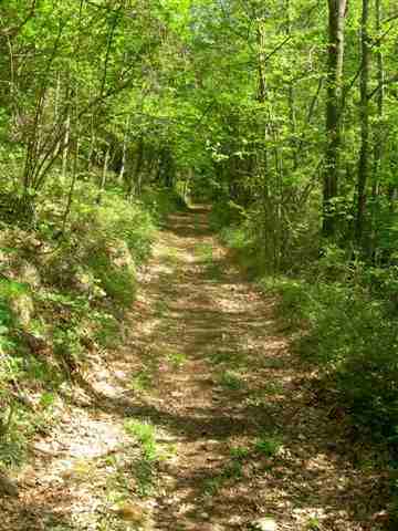 Agrandir l'image VTT en chemin vers le Collet d'en Sivilla