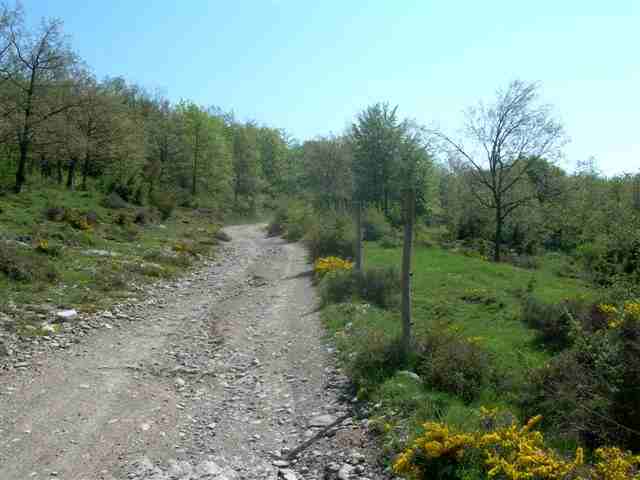 Agrandir l'image Chemin du Pas du Loup