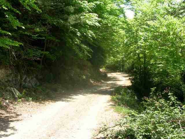 Agrandir l'image En direction des Colladiques