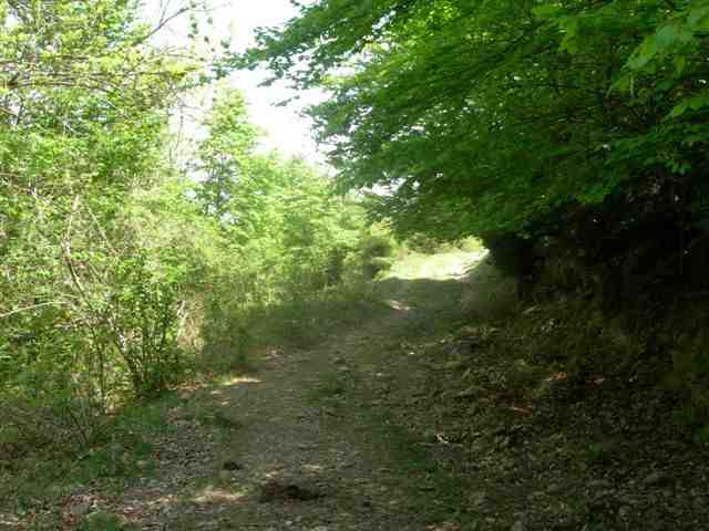 Agrandir l'image Chemin vers le Coll de les Cadirettes