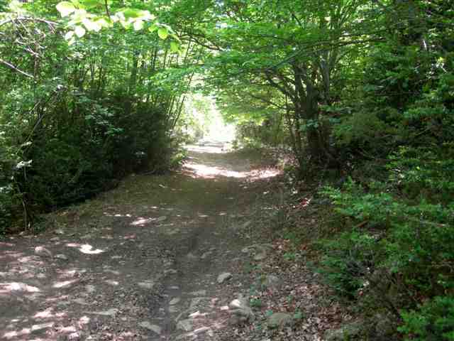Agrandir l'image Chemin du Coll de les Cadirettes