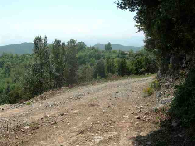 Agrandir l'image Jonction avec la piste du Collet del Triadu