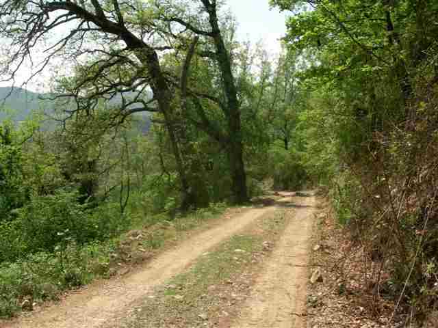 Agrandir l'image En direction du Collet de Creuers