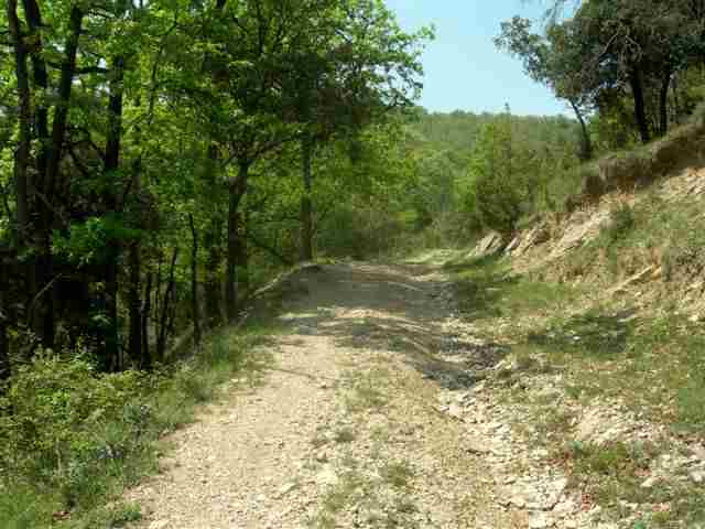 Agrandir l'image En Vtt en direction du Collet de Creuers