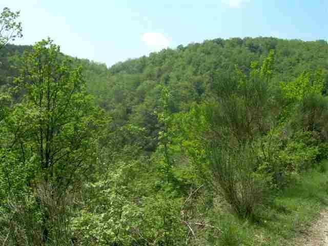 Agrandir l'image Cols en vue