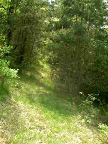 Agrandir l'image Chemin den direction de Les Serres
