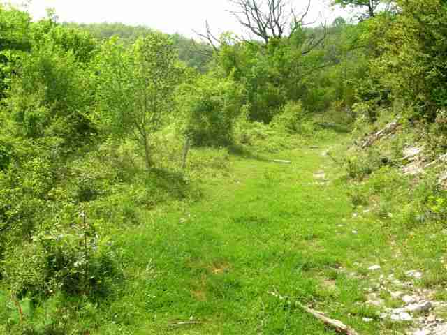 Agrandir l'image Chemin en direction du Collet de l'Era d'en Fajol