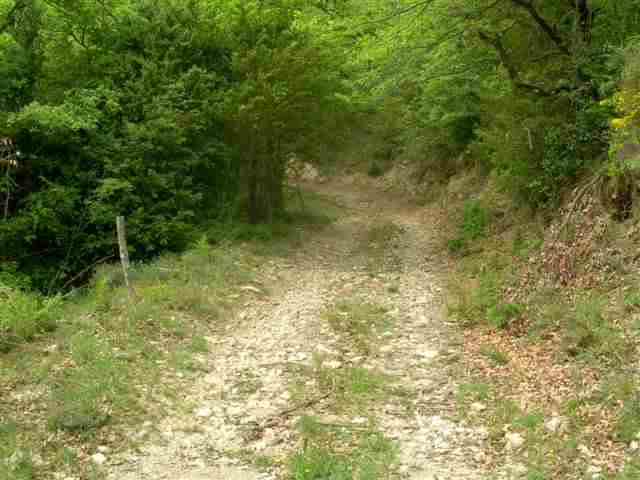 Agrandir l'image Piste en direction du Collet de l'Era d'en Fajol