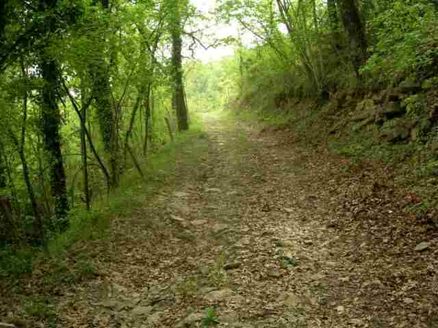 Agrandir l'image Randonnée VTT en direction du Collet de l'Era d'en Fajol