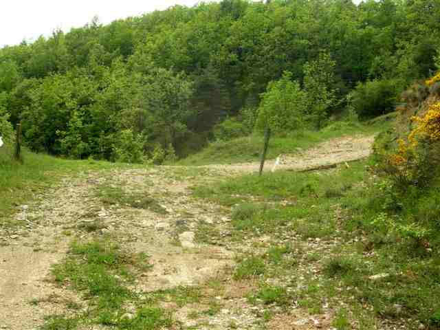 Agrandir l'image Jonction avec la piste du Collet de l'Era d'en Fajol