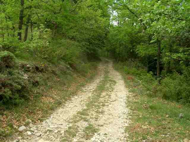 Agrandir l'image Piste du Collet de l'Era d'en Fajol