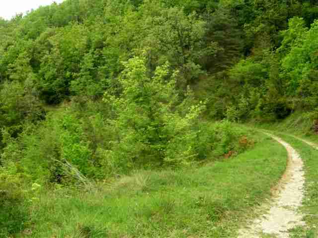 Agrandir l'image En direction de la Vall del Bac