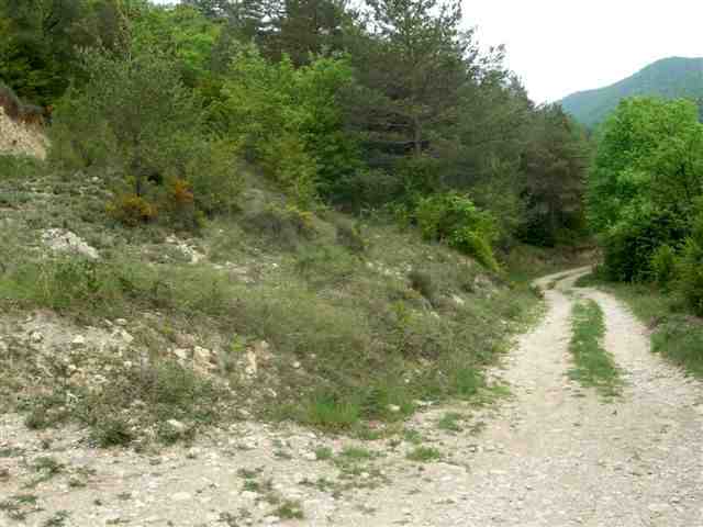 Agrandir l'image Piste en direction de la Vall del Bac