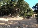 Agrandir l'image Coll de la Trencada - ES-GI-0318