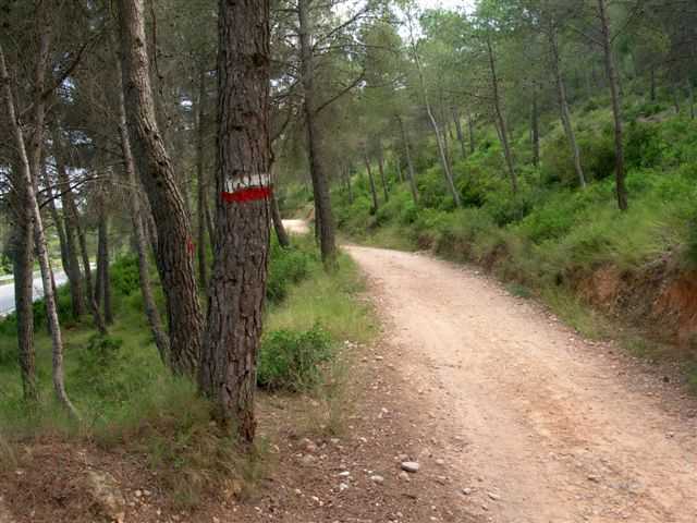 Agrandir l'image En direction du Coll de les Forques