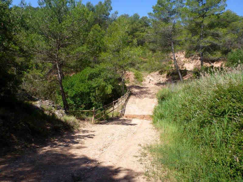 Du Coll del Bosc au Coll de la Salve