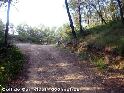 Agrandir l'image Coll de Can Vidal - ES-B-0600