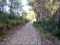 Agrandir l'image Coll de Can Vidal - ES-B-0600