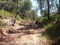 Agrandir l'image Coll de la Salve - ES-B-0611