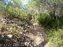 Agrandir l'image Coll de Trasserres - ES-B-0670g