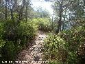 Agrandir l'image Coll de Trasserres - ES-B-0670g