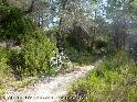 Agrandir l'image Coll de Trasserres - ES-B-0670g