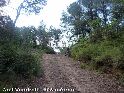 Agrandir l'image Coll Vendrell - ES-B-0608a