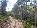 Agrandir l'image Coll Vendrell - ES-B-0608a